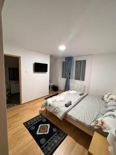 Pensiunea RNB Maramures - Şurdeşti - 8
