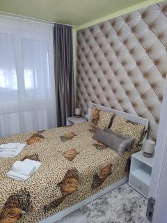 Family Rooms Hunedoara - 8