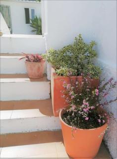 Cozy apartment with private courtyard - 9