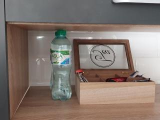 Apartament Skarbowa & Parking - Leszno - 1