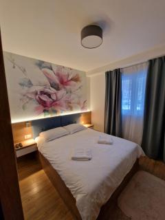 Apartman Blago Zlatibora - Zlatibor - 4