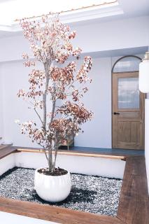 薄荷巴黎 Coffee House - 9