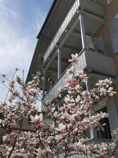 Villa Rosen - Ferienwohnungen - Bad Reichenhall - 1