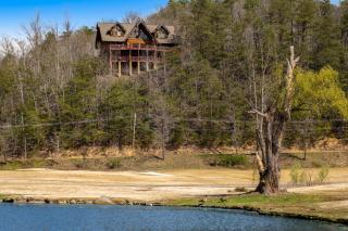 Shady Pines - Gatlinburg - 7