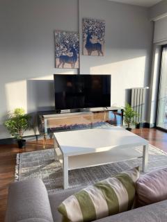 Amazing Flat in Taksim area - Istanbul - 7