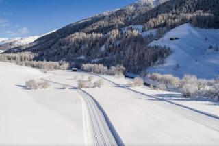 Fantastic renovated Chalet in the heart of Alps - Münster - 1