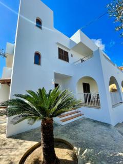 VILLA BLANCA - Cala d'Or - 9