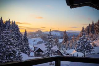 Pensiunea Poienita Ursului - 3