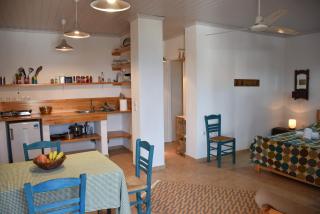 The apricot tree studio - 9