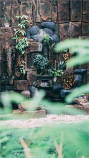 Nexdeco House Homestay Syariah Solo - Solo - 3
