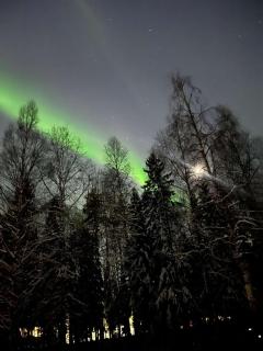 Own private room in a big house! - Luleå - 1