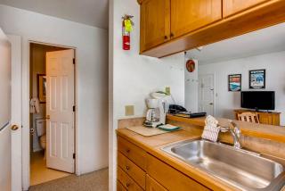 View Of Mt Crested Butte- 1 Br Condo - 2
