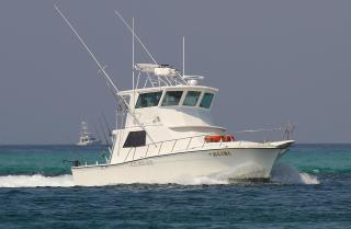 Coastal Tides at Enclave 403a - Destin - 3