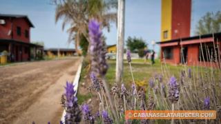 Cabañas el atardecer - 9