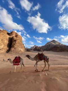 Desert Jewel Camp - Wadi Rum - 2