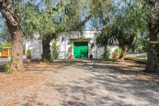 Huerto Valenciano - Sol y Tranquilidad - Piscina - 5