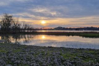 CAN JAUME 1921 Plaza Perpinyà ,21 - 1