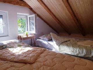 Sunny Bay House - Kotor (Cattaro) - 5