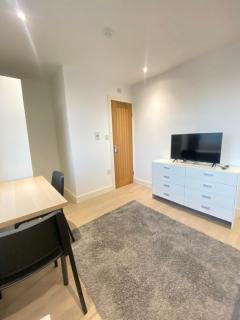 Cozy En-suite near Stratford - Londra - 6