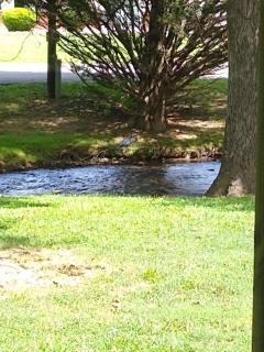 Creekside Haven - Authentic Cabin, Outstanding Location - 6