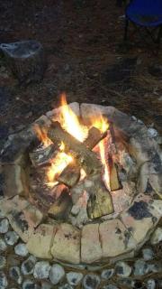 Rustic Quaint Cabin In the woods--Pets welcomed - Dunnsville - 7