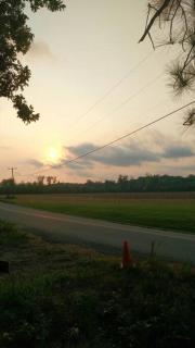Rustic Quaint Cabin In the woods--Pets welcomed - Dunnsville - 1