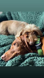 Gasthof Königstand - 9