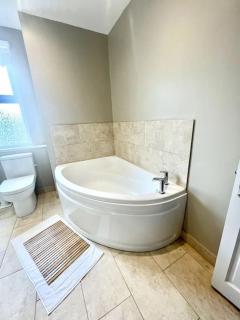 Spacious Modern Victorian House in Rochester - Wainscot - 1