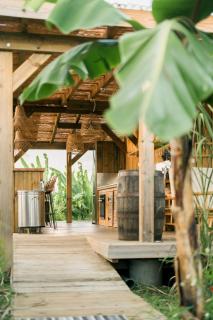 Ecolodge Anacardier - cabanon luxe pleine nature - Saint-François - 5