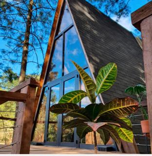 Hotel Sierra Tigre - Mazamitla - 5