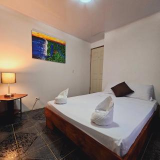 Micheck beach house - Tortuguero - 9