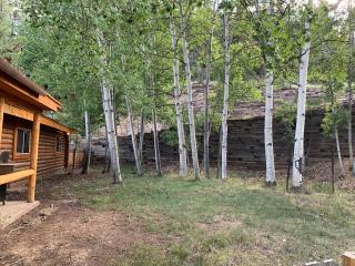 Rocky Top Vista Log Cabin With High Speed Wifi - 1