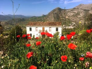 La Sorpresa - Valle de Abdalagís - 9