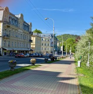 Apartment PARK VIEW - Mariánské Lázně - 9