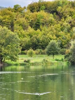 River Homes Bihac - Bihać - 5