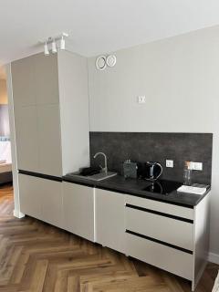 Podgrzewany basen sauna, nowy Revist Szklarska C4 - Szklarska Poręba - 5