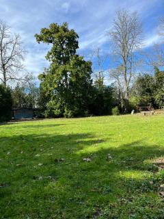 Le P’tit Bois Doré - 3