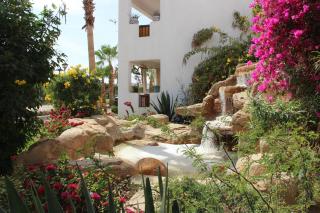 Delta Sharm Best Vacation - Sharm el Sheikh - 4