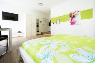 Breisach City-Appartements - Breisach am Rhein - 7