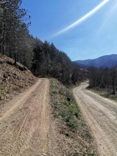 Vikend kuca Maksimovic - Mataruška Banja - 7