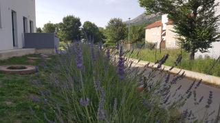 Studios Artemis - Baška - 6