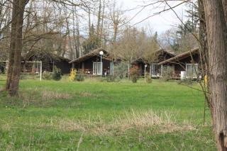 CAMPING DE LA CHALARONNE - Saint-Didier-sur-Chalaronne - 8