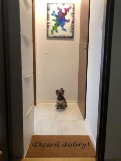 Andersena Modern B - 10 min CMKP - 5 min Metro - 15 min Center - Warsaw - 3