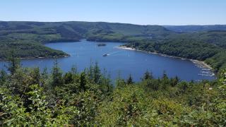 Hotel Roeb - Nideggen - 8