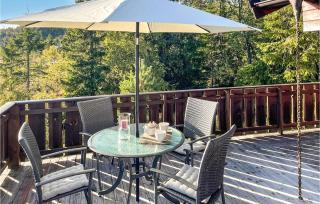 4 Bedroom Stunning Home In Nissedal - 8