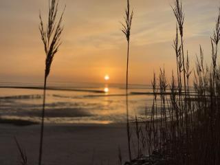 Solveig-Maike-03 - 8