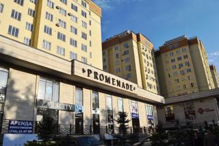 Apartment in the center city - Bisjkek - 2