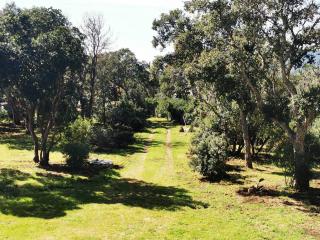 Villa Casa Sognu di Orizonte - 8