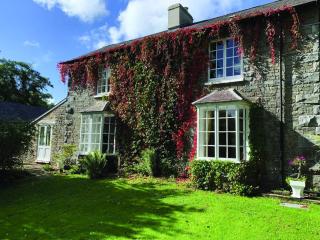 Pontyclerc Farm House Bed and Breakfast - Ammanford - 9
