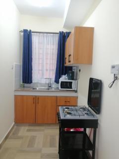 CBD Nakuru luxurious Studio-Nash - 8